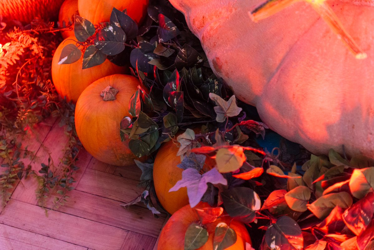 Event_Prop_Hire's tweet photo. π#PumpkinPatch π
Working with the @LylaNFoundation at the beautiful @The_RHH on the amazing #monstermash2018 We created this spooky but rather pretty pumpkin patch for all the little monsters attending! #halloween #eventprophire #eventprofsUK #pumpkin #prophire #themedevents https://t.co/9iGCdxtT3a