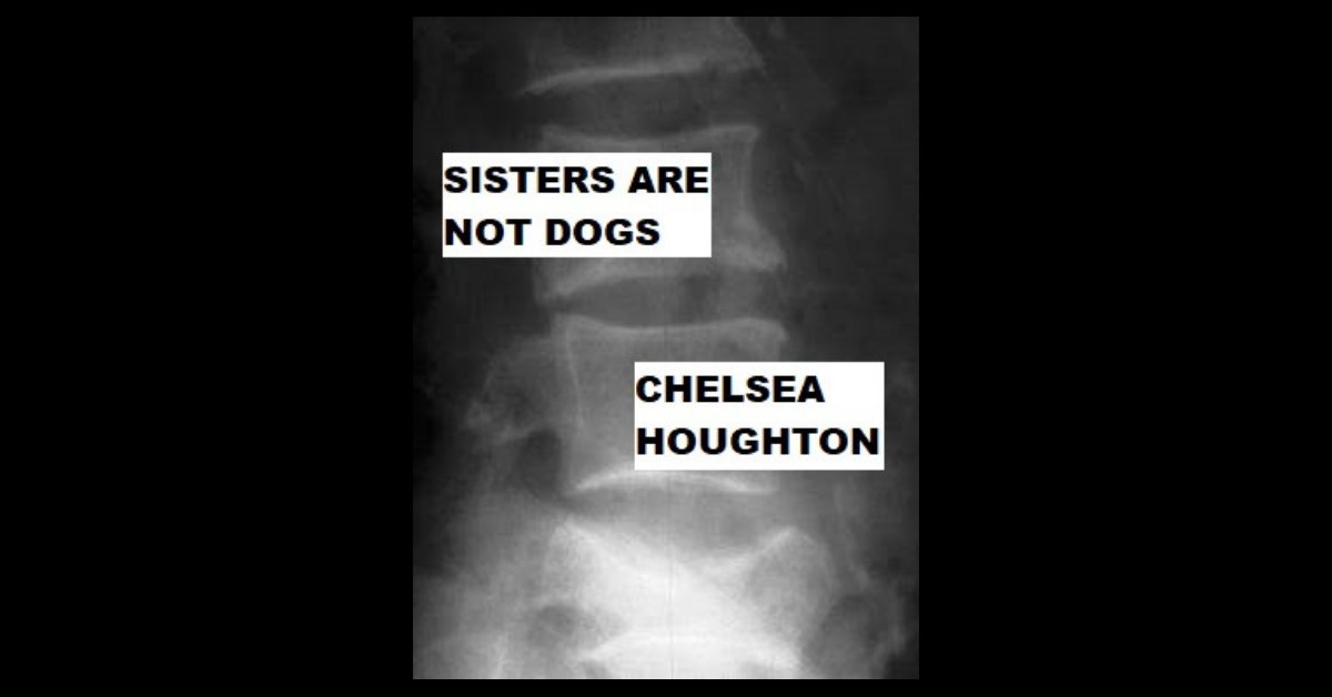 xraylitmag's tweet photo. "We found her one night out the back of the liquor store, standing in the floodlights. We’d been searching for a long time, catching glimpses of a mirage of her brunette ponytail walking with some friends."

story by Chelsea Houghton @chelseahoughton !!

https://t.co/ZxIK8pYcCj https://t.co/FroSqasghG