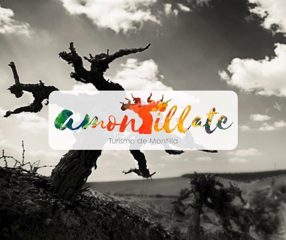 Se suspende la celebración de la Fiesta del Vino y la Tapa ante la amenaza de lluvia | Ayuntamiento de Montilla montilla.es/noticia/se-sus…