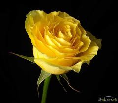 Test Impana test1234 tweet media