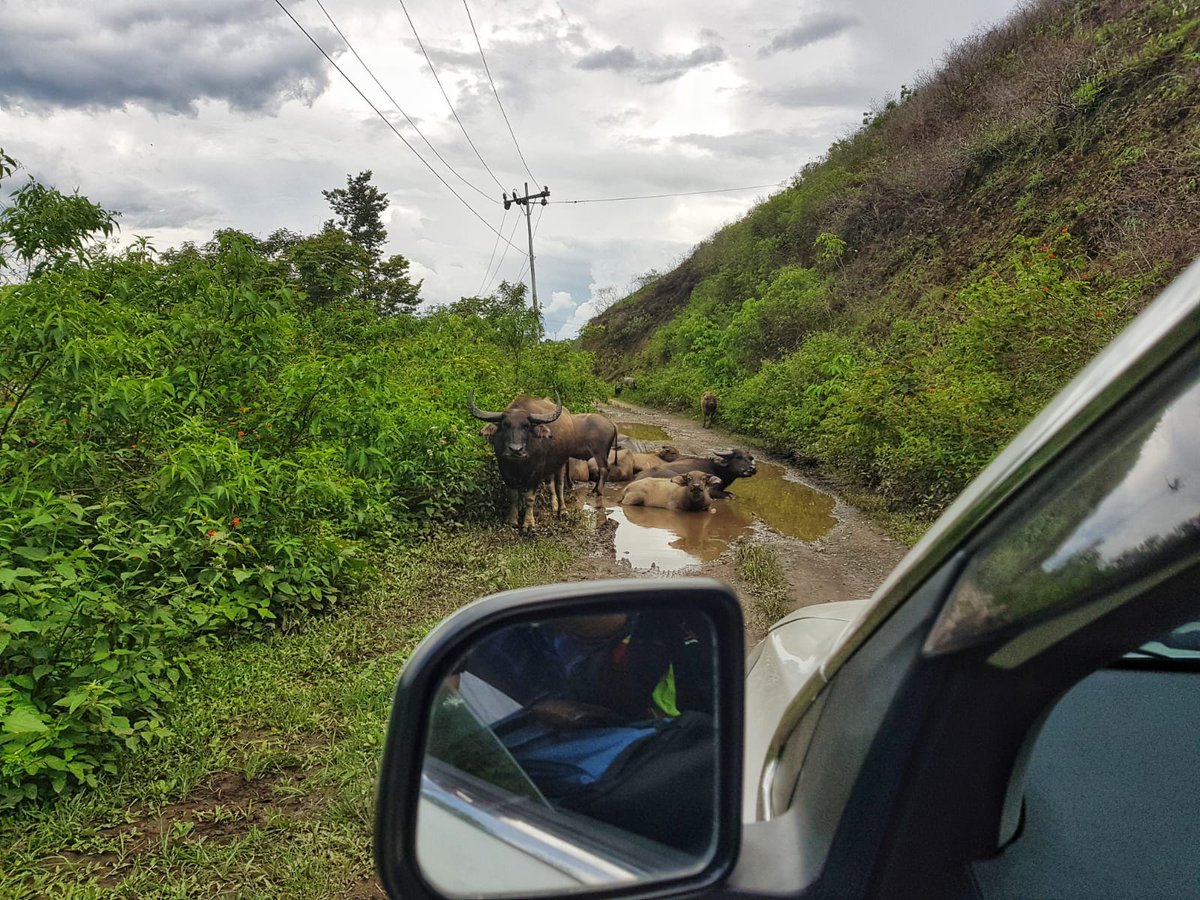 Tia_den_Hartog's tweet image. Our #GEOCAP PhD student, Lukman Sutrisno and master students from @univ_indonesia is now in North Sumatera for MT survey tinyurl.com/y6vgr4zl #geothermal @NLinIndonesia #indonesia #netherlands @gealukman @univ_indonesia #capacitybuilding