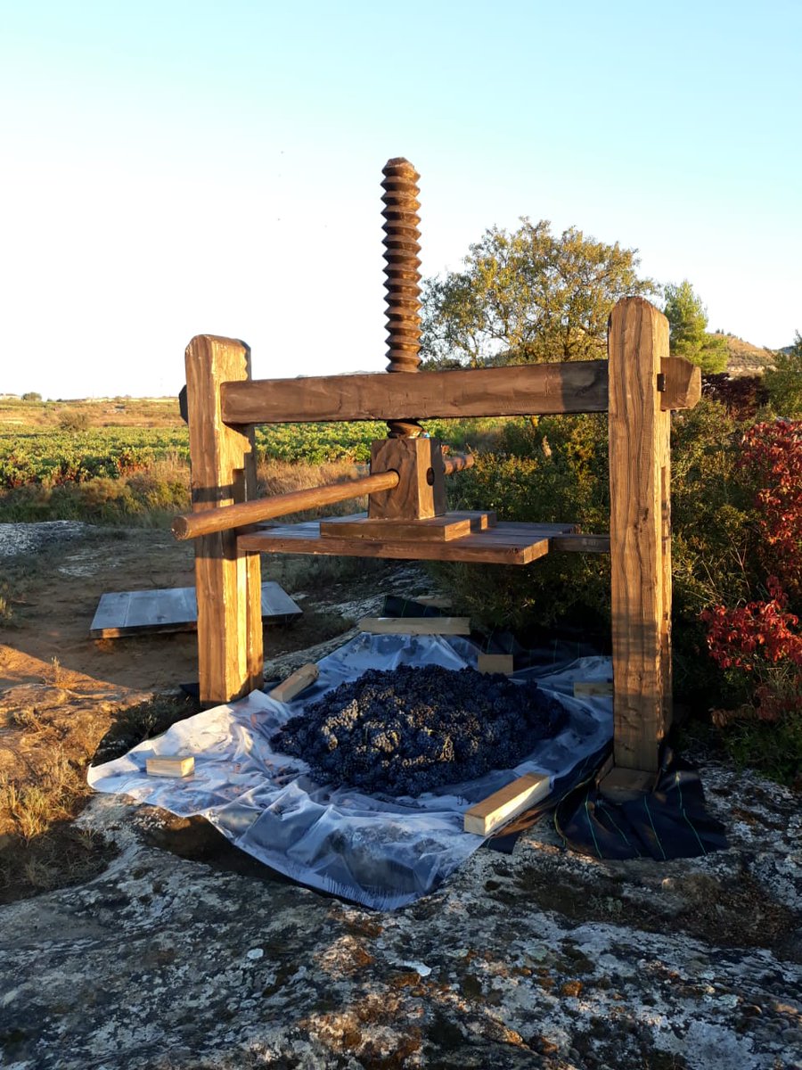 Familia Torres tweet media