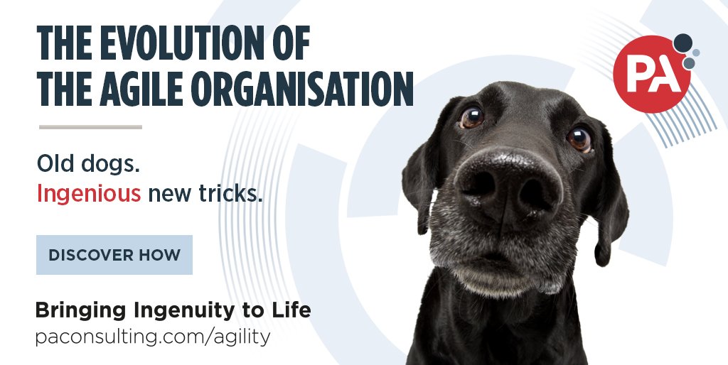 The evolution of organisational agility means we can teach old dogs new tricks. Found out how >> goo.gl/6Xn8iz [NEW REPORT] #AgileEvolution #organisationalagility #PowerOfIngenuity