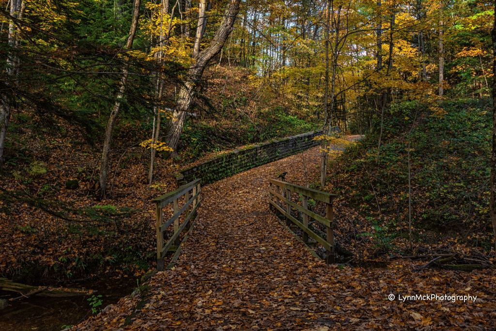 justabitfurther's tweet photo. Fall Hike – Tiny Trail(Copeland Creek Bridges to Balm Beach Golf Club https://t.co/juVxaVcs3w https://t.co/PMyquovzTk