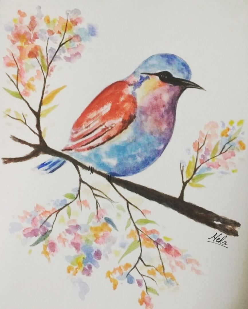 Watercolour bird #bird #birdart #birdpainting #watercolourbird #art #watercolorbird #zegcreatives #painting #robin #robinbird #robinpainting