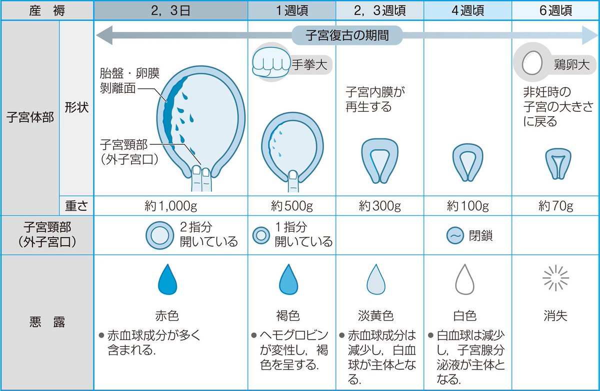 医学のリドル 悪露