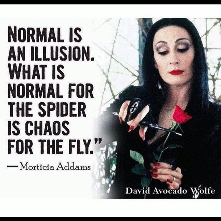 davehartmannx's tweet image. 