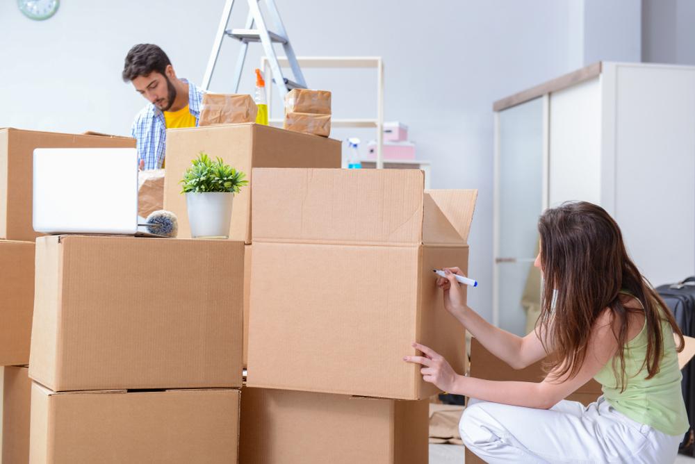 Boxit_es's tweet photo. Te mudas? Con nuestro servicio de #mudanzas en #Marbella, #SanPedroAlcantara, #Estepona tu mudanza más fácil que nunca. Tu empaquetas tus cosas, nosotros nos encargamos de cargar y transportarlas a tu nuevo domicilio. Descubre mudanzas y portes Boxit.
https://t.co/IlMbSbAuEa https://t.co/0foS5OKihD