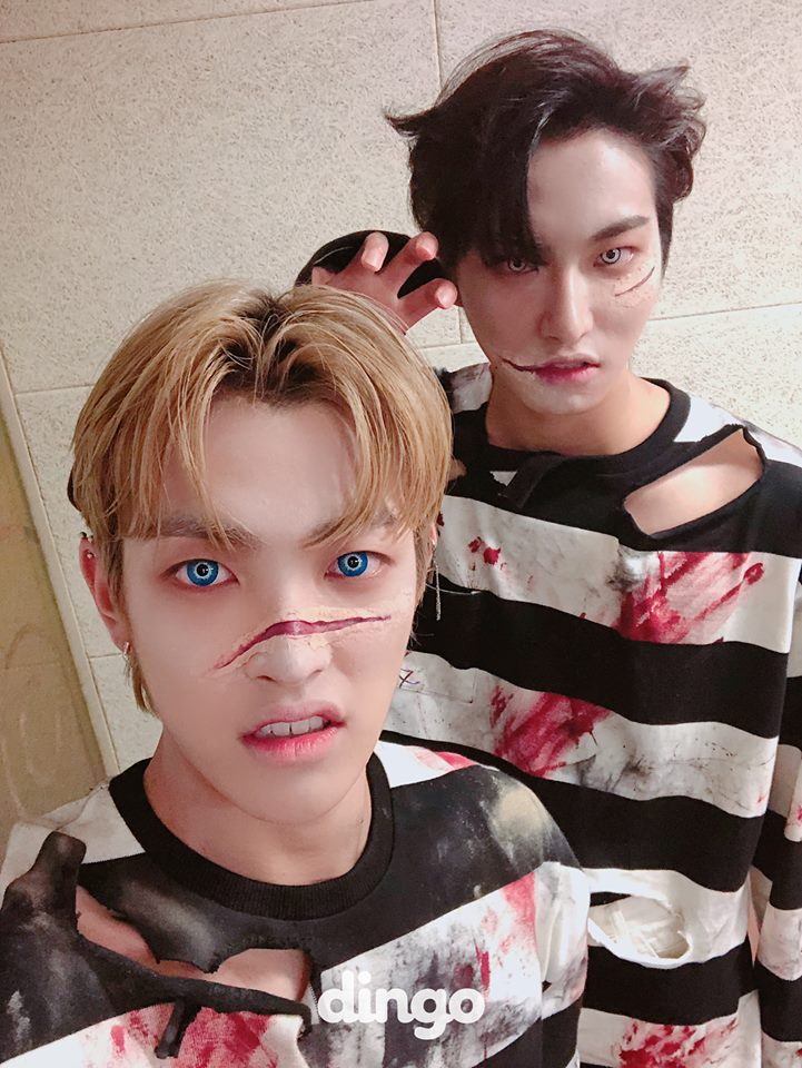 dingo_official's tweet photo. [#딩고뮤직] #에이티즈 다같이 좀비 분장하고 뭐했게~~~?! https://t.co/AvkzS8apXy
