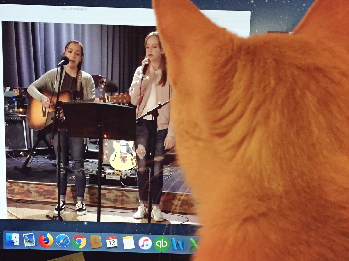 MusicUMC's tweet photo. Cat is mesmerized by Avanna!! More #liveshowmedia coming soon...

#catsknow #umcredwing #avanna #musiceducation https://t.co/qinZXf6K6q