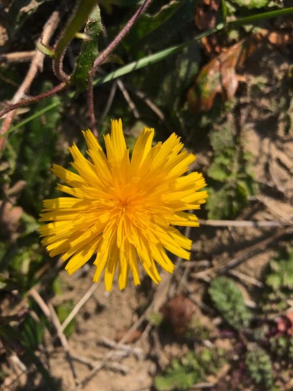 LUSTHOFxl tweet media