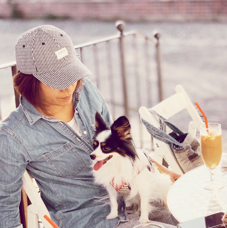 よだれ屋 クリスマス亭 東京都調布市上石原1 32 6 050 5872 7306 西調布駅 洋食 ハヤシライス ハンバーグ オムライス フレンチトースト オムライス