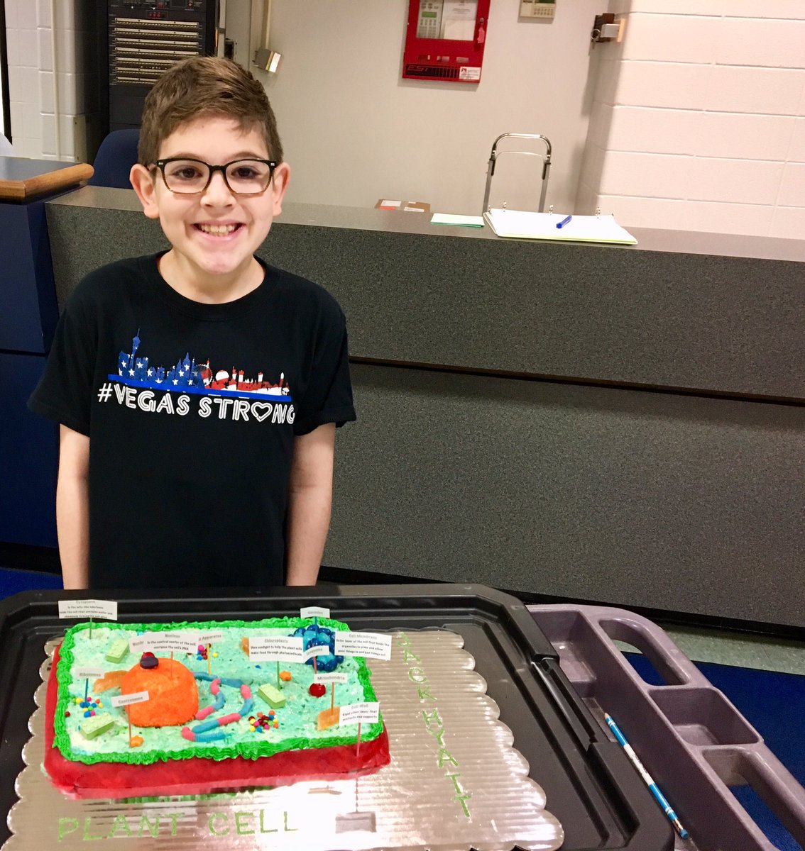TheRosenbergFa1's tweet photo. Today JH brought in his plant cell he has been working on all week. He is proud but worried about dropping it. Miss Sara to the rescue! The look of relief of his face when she offered him a cart made him relax. #SAEPride @MrsAlhadeff @andylallison https://t.co/as4lpvA1hV