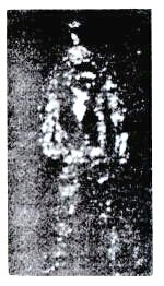 時星リウス 妄想自由人 Auf Twitter 今日は何の日 1973年10月17日 フォークビル事件 発生45周年記念日 パスカグーラ事件から1週間と経たないうちに 今度はアメリカ アラハマ州フォークビルで 匿名の電話を受けた警察署長が現場にかけつけ 銀色の宇宙人を目撃