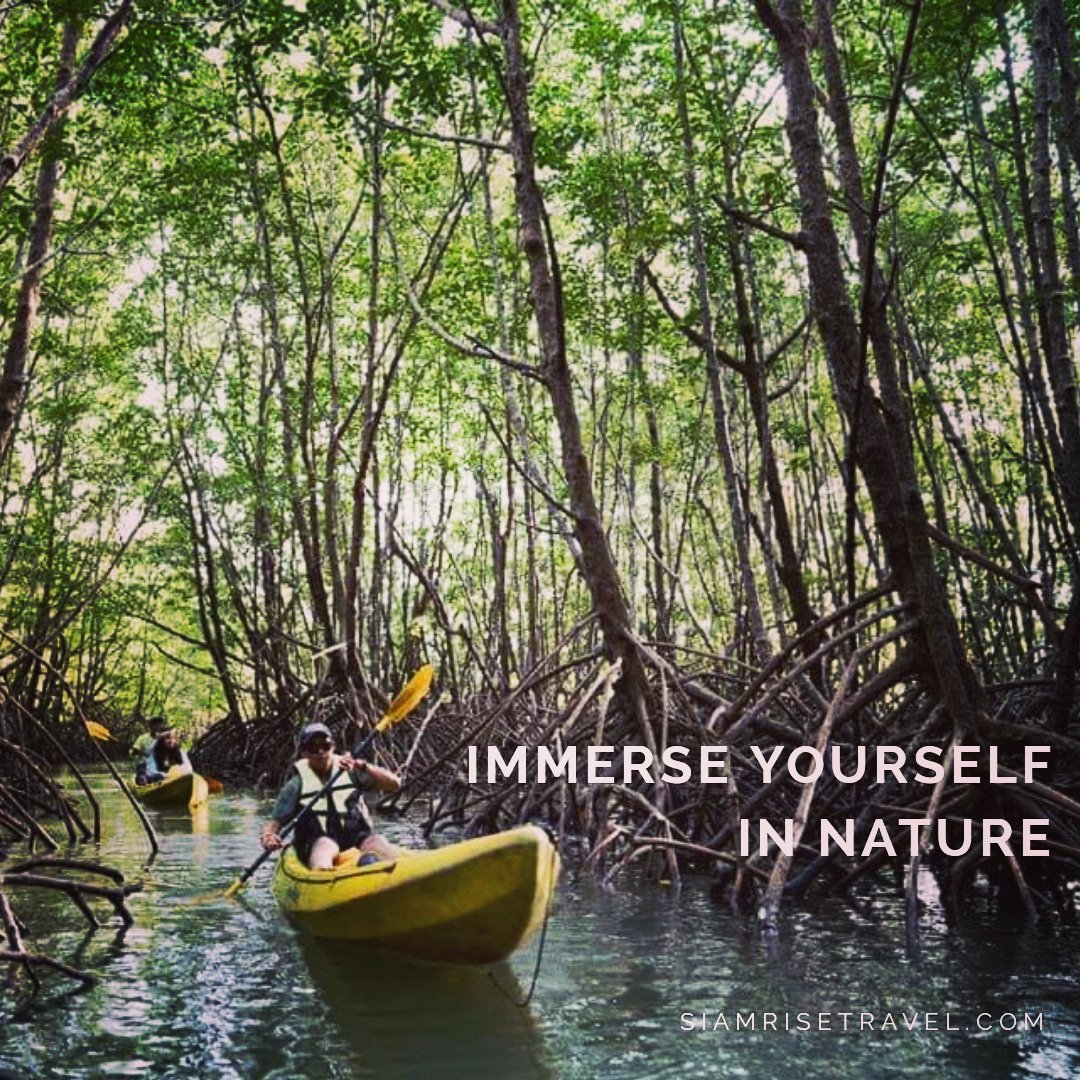 Exploring by Kayaking on the trail of local. Traveling in style >> bit.ly/siamrisetravel

#SiamRiseTravel #travel #bangkok #kohchang #trat #salakkok #kayak #responsibletravel #mangrove #active #nature #local #thailande #tailandia #tajlandia #holidays #localexperience #TRF #fun