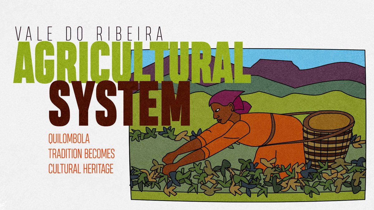 There’s an illustration of a woman in harvesting action on the right side of the picture. The scene contrasts to the white background that brings “Vale do Ribeira Agricultural System” in highlight. Below it, orange letters read “Quilombola tradition becomes cultural heritage”