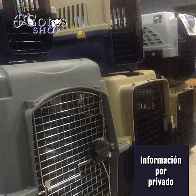 ¡Encarga el #Kennel de tu preferencia con nosotros!
.
Para mayor información escríbenos por mensaje privado y con gusto te atenderemos.
.
#MascotasFelices #Mascotas #Alimento #Medicamentos #Accesorios #PeluqueriaCanina #NautilusJardinGourmet #SambilValen… ift.tt/2Af99OB