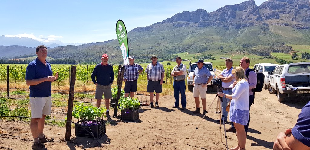 OpstalAttie's tweet photo. Great morning hosting @Vinpro_za on the farm. We're planting all 10 available Chenin clones as part of their #GenZproject. #cheninfocus #ProefBlok #CartonageVines @BreedeMakers https://t.co/AUolOP0dVz