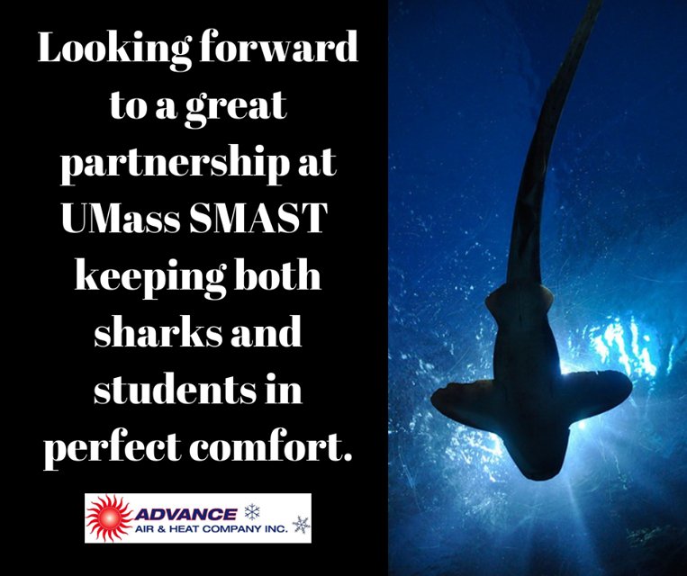 KarenLDeSousa's tweet photo. Toured the @UMassDartmouth Marine Science & Technology SMAST building. State-of-the-art tech for vital weather, marine research. Even the HVAC systems were impressive! Looking forward to keeping both sharks and students in perfect comfort. #PerfectTemps #SharkTank #WeGotThis https://t.co/00y1IVQJ6D