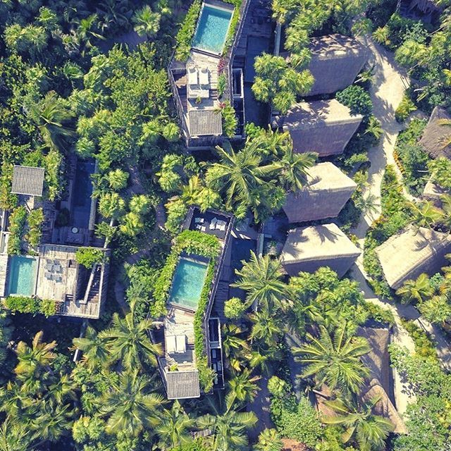 BeTulumHotel's tweet image. It's a tropical spell. 🌴🌴⠀
.⠀
by @sascha_manuel #BeTulum #BoutiqueHotel #Be #BeUniverse #BeUnique #Mexico #Tulum⠀
⠀
⠀