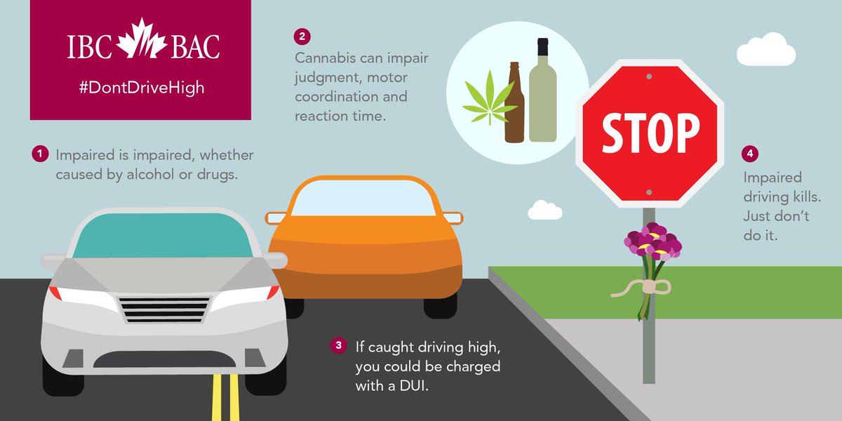 SprouleInsuranc's tweet photo. cannabis &amp; road safety
https://t.co/VuDyutxfDi #dontdrivehigh #legalizationday #cannabis #roadsafety https://t.co/vvNKrLbmYx