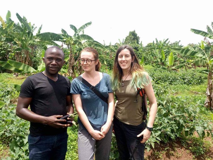 permaculture project in Uganda, animal sanctuary, vegan