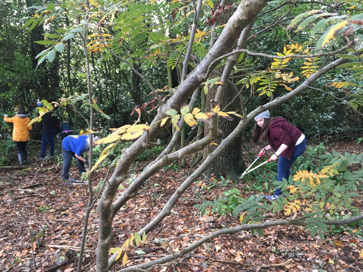 LeicsCares's tweet photo. If you went down to the woods today you would see wonderful staff from @CaterpillarInc  helping to ensure @BradgatePark  remains a lovely green space we can all enjoy https://t.co/CvX0QssScj