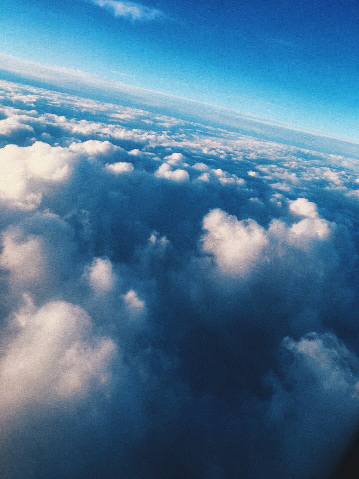 dancingcutefox's tweet image. "2 самых противных слова : ОГЭ и ЕГЭ",- думала Софья, сидя на репетиторстве 🦊😒🙄😖😖😖