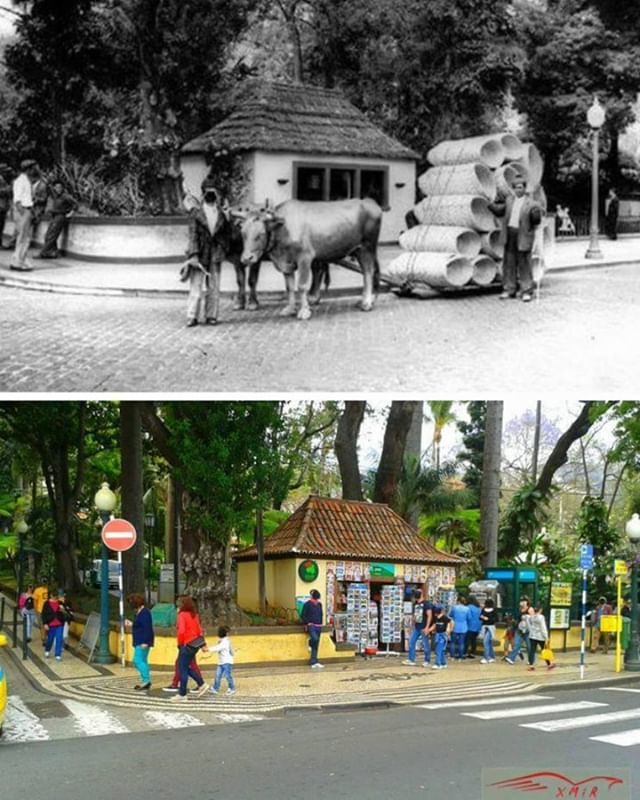 Madeira Quase Esquecida tweet media