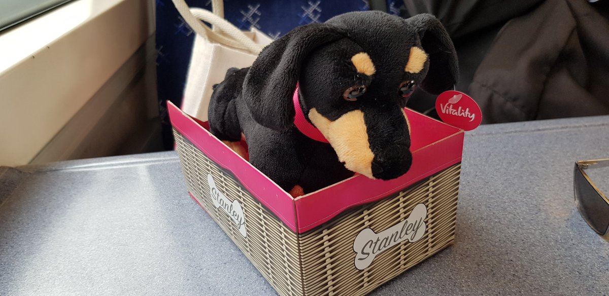 On the way back to the office after the <a href="/vitality/">vitality</a> launch event in Leeds. Ask us how Stanley can help you get Amazon Prime for free