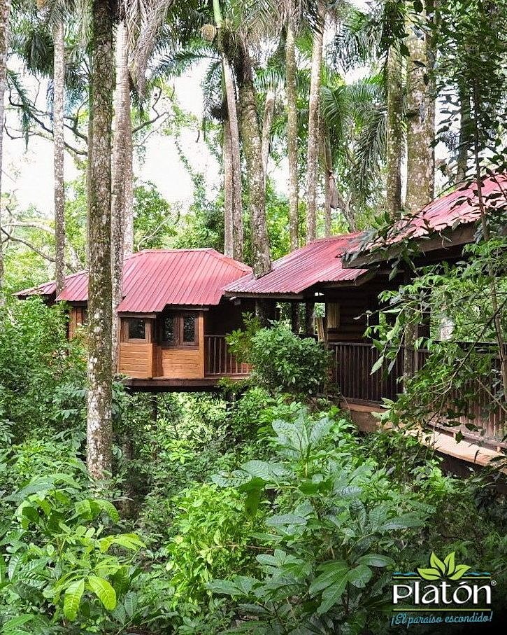 platonecolodge's tweet photo. "Todo género de vida, sin descansos alternativos, no es duradero" Ovidio.
Buenos días 😊
#casaenelarbol #treehouseview #treehouse #treehouseliving #treehouselife #ecoresort #barahona #barahonard #surprofundord #dominicanrepublic #turismointernord #visitdominicanrepublic https://t.co/bUSP3tAycO