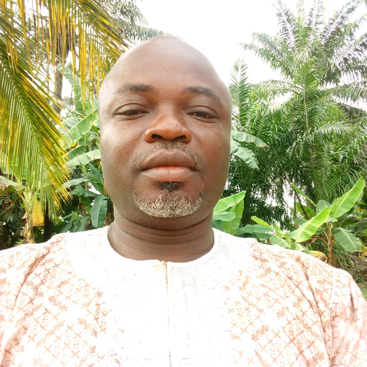 MongoRoger's tweet image. #NouvellePhotoDeProfil