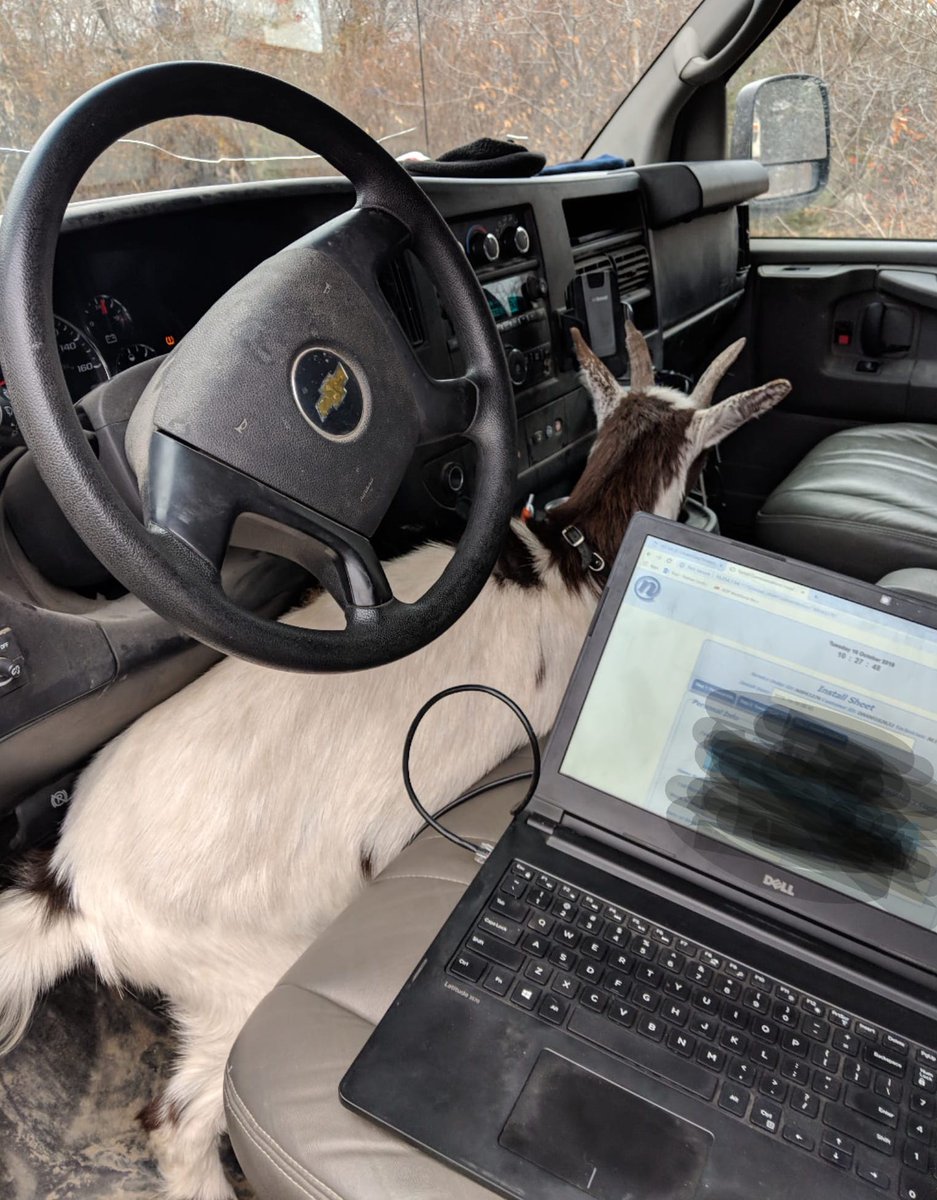 XploreBusiness's tweet photo. We've "goats" you covered with @NetSetMB! This little guy wanted to get connected with high speed Internet and our installer was happy to oblige! #NetsetConnects https://t.co/7DxKdCWWO2