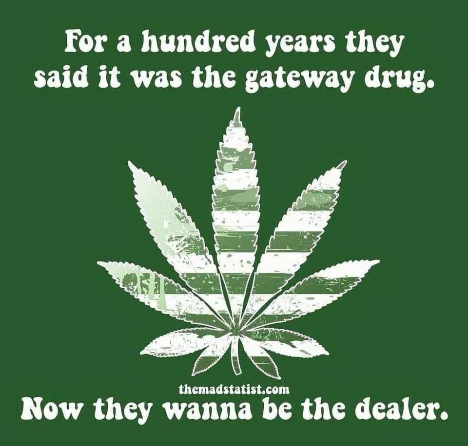 :>}_~#WakeNBake #StonerNation #StonerFam #StonerCircle #MMOT #IAmCannabis #WeAreCannabis #StayWoke #FuckCancer &amp; ALL #STONERS ~HappyHumpDazed~