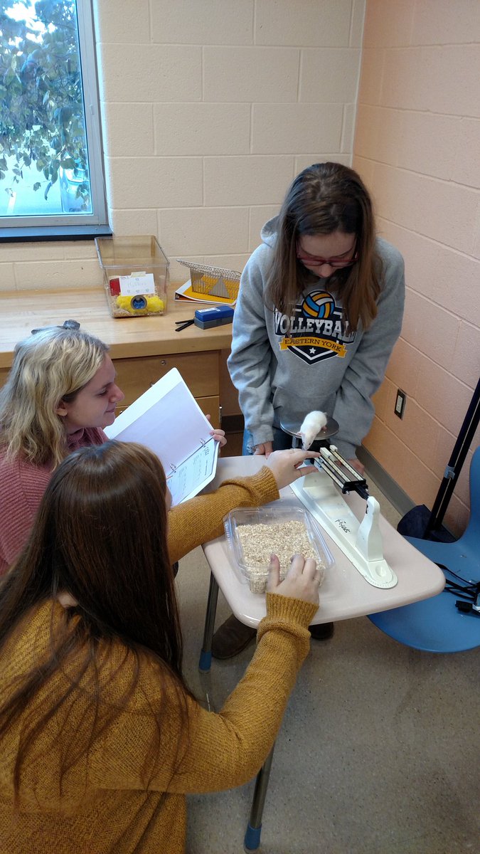 Mrs.Thoman tweet media