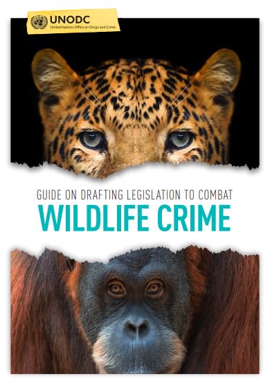 UNODC_ENV's tweet photo. The Guide on Drafting Legislation to Combat Wildlife Crime has been launched! Please download a copy of the #LegislativeGuide here: https://t.co/PjuXjB4JqQ Many thanks again to @EU_Commission and @StateINL for their support to make this Guide a reality. #EndWildlifeCrime https://t.co/pipv3J7k9U