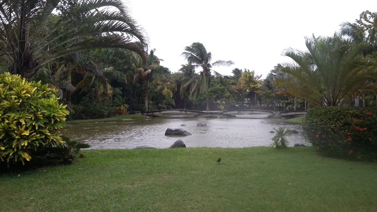 casacelis's tweet image. &quot;Como picho remojado&quot;, desde aquí los saludo. #UV #LanguageCenter #BocaDelRio #Veracruz ☔