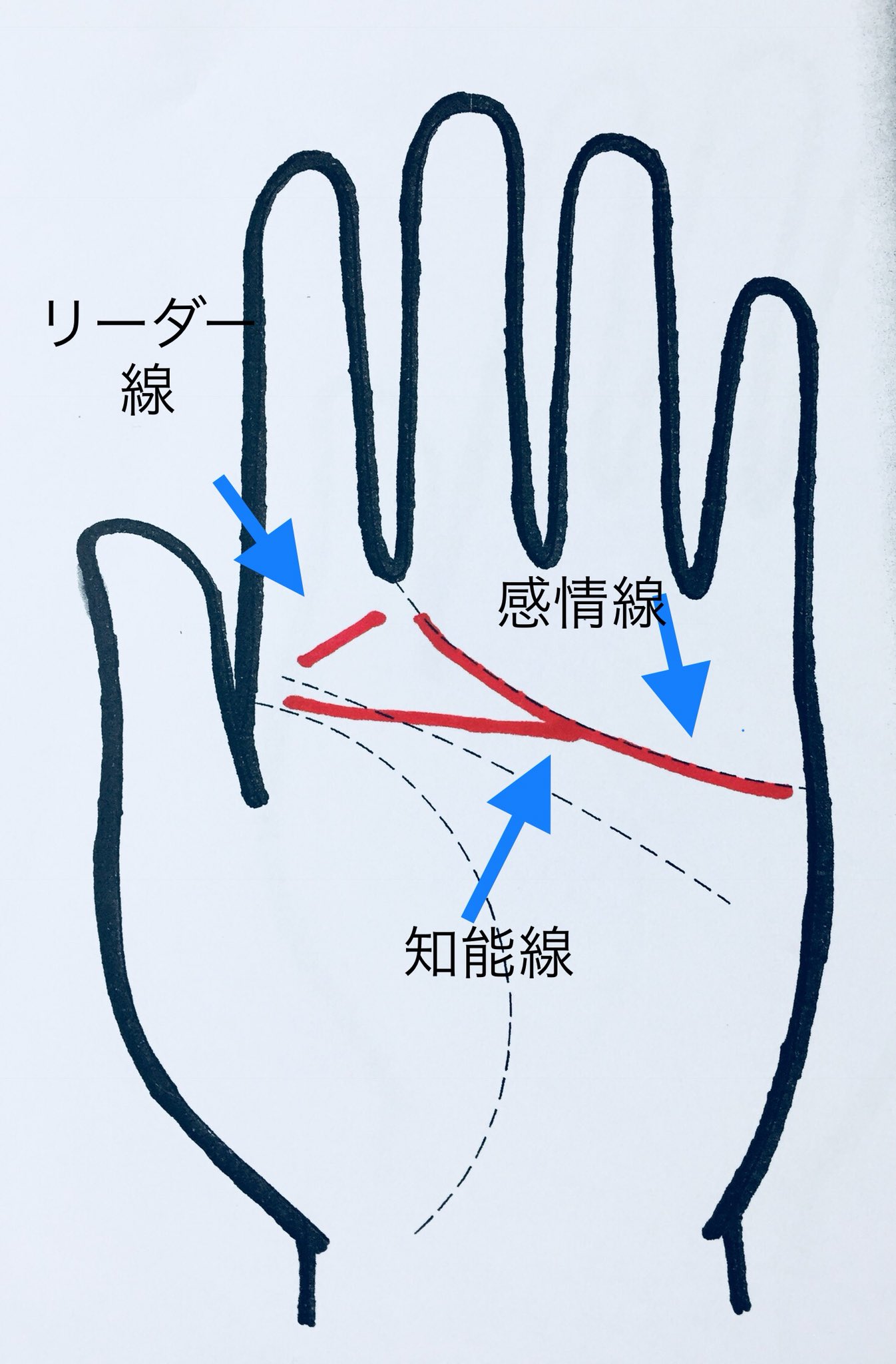手相占い 華与 警察官に向いてる手相 リーダー線があり 感情線の枝分かれした線が知能線の始点に合流してる人 は 正義感が強いので警察官に向いてます 警察官 手相 向いてる仕事 T Co Diytzouams Twitter