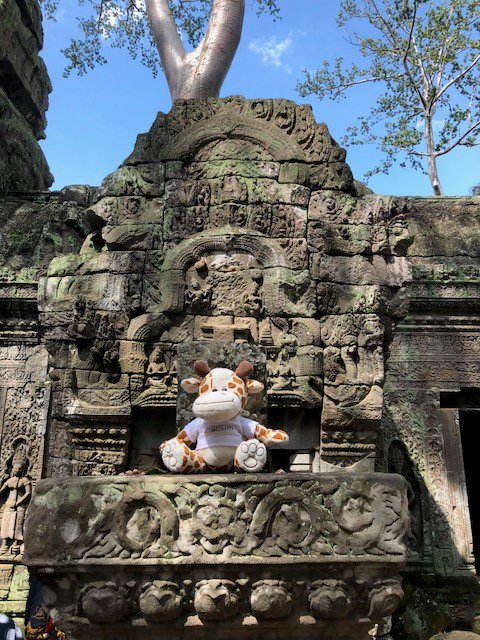 The @signumsolutions team and our very own @SignumSelwyn are on their travels, promoting #SAPBusinessOne around the world! #cambodia #bestrun #tombraidertemple #travel #travellers #flag