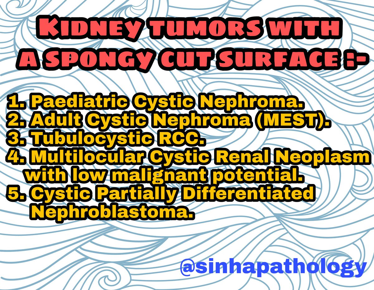 Kidney tumors with a spongy cut surface. #GUPath #renalpath #Uropath #kidneytumor #pathclues 
@BinXu16 @DrAldehyde @kriyer68 @drsys02 @DrAhmedKalebi @GeronimoJrLapac @mreyesm @DraEosina @histolover @TheKarenPinto @luishcruzc @DrFNA