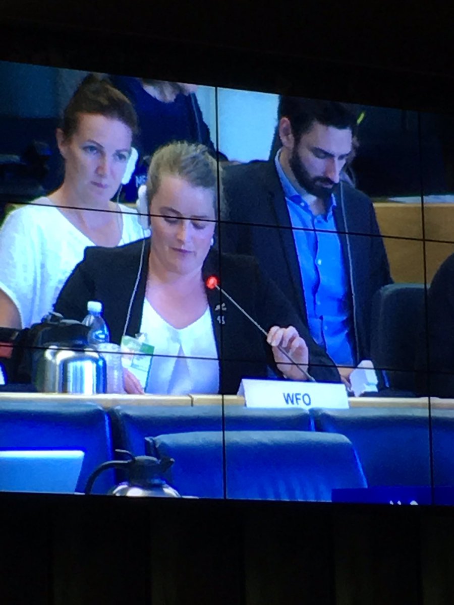 Katie Milne tweet media