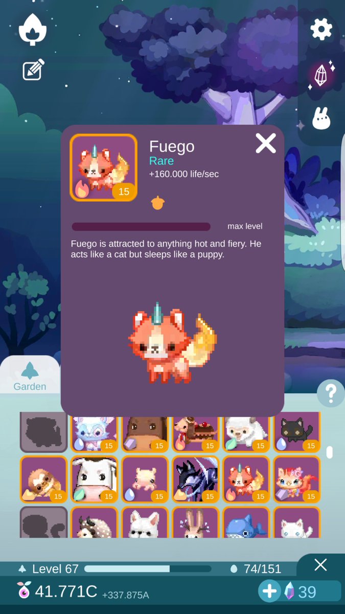 gambadibob's tweet photo. @BunniesRolling there he is! Fuego is ready for the contest https://t.co/Y4qlKhBGMh