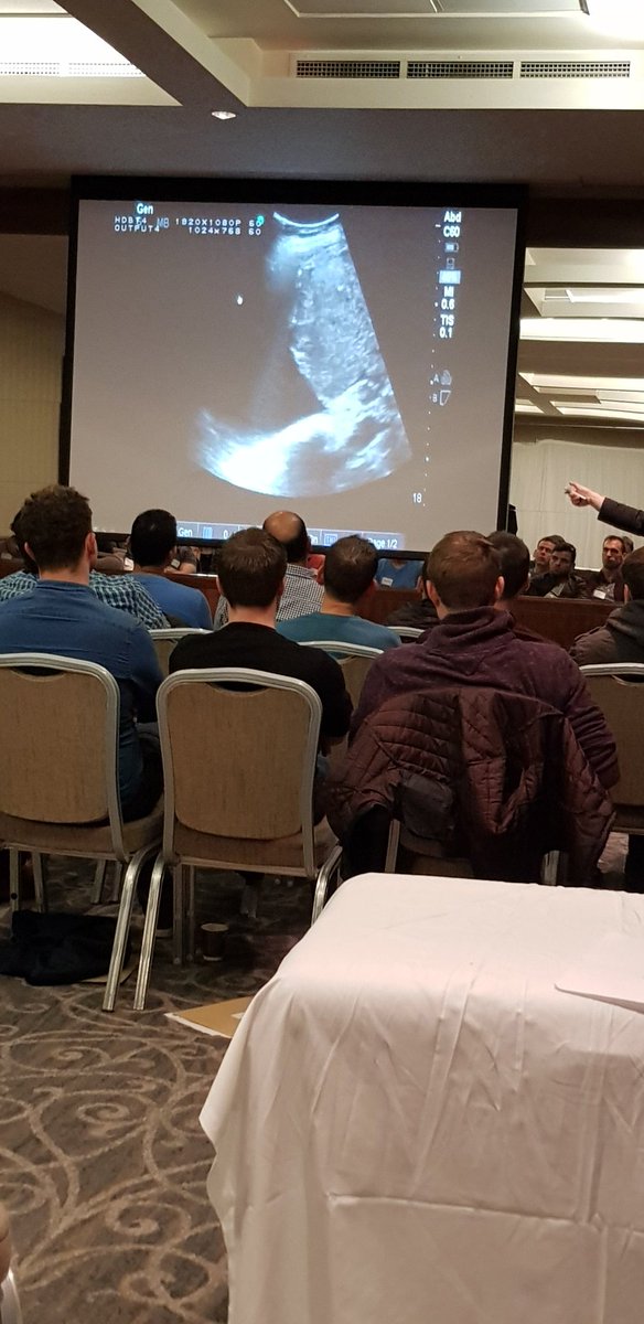 a_goatlet's tweet photo. And it wouldn't be a #POCUS course without @POCUSClub - pleural and pericardial effusions on #POCUS really simple to see and quite groovy too. https://t.co/szi4QmWzt5