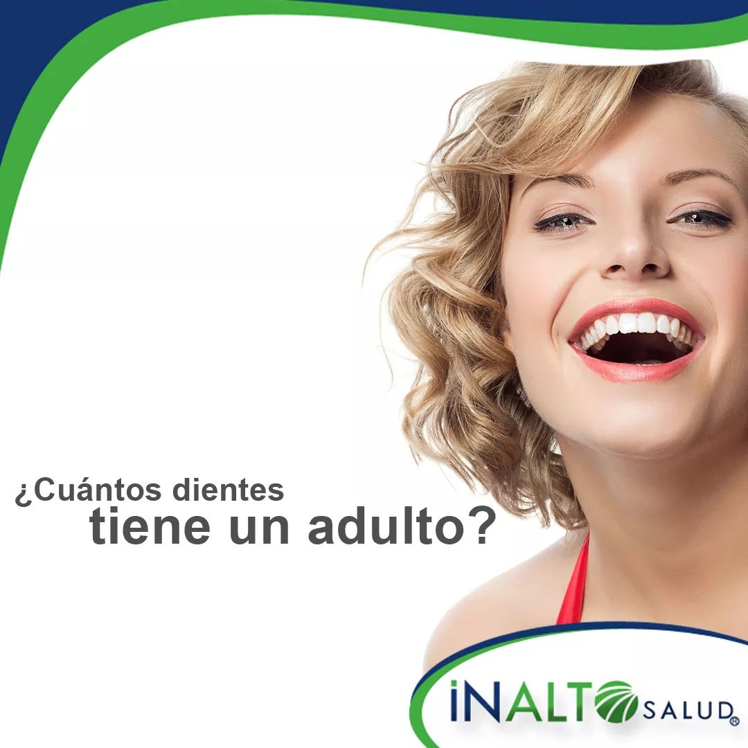 Inalto_Salud's tweet photo. #triviadental Adivina la respuesta ¿Cuántos dientes tiene un adulto? https://t.co/tzt9L3aczR