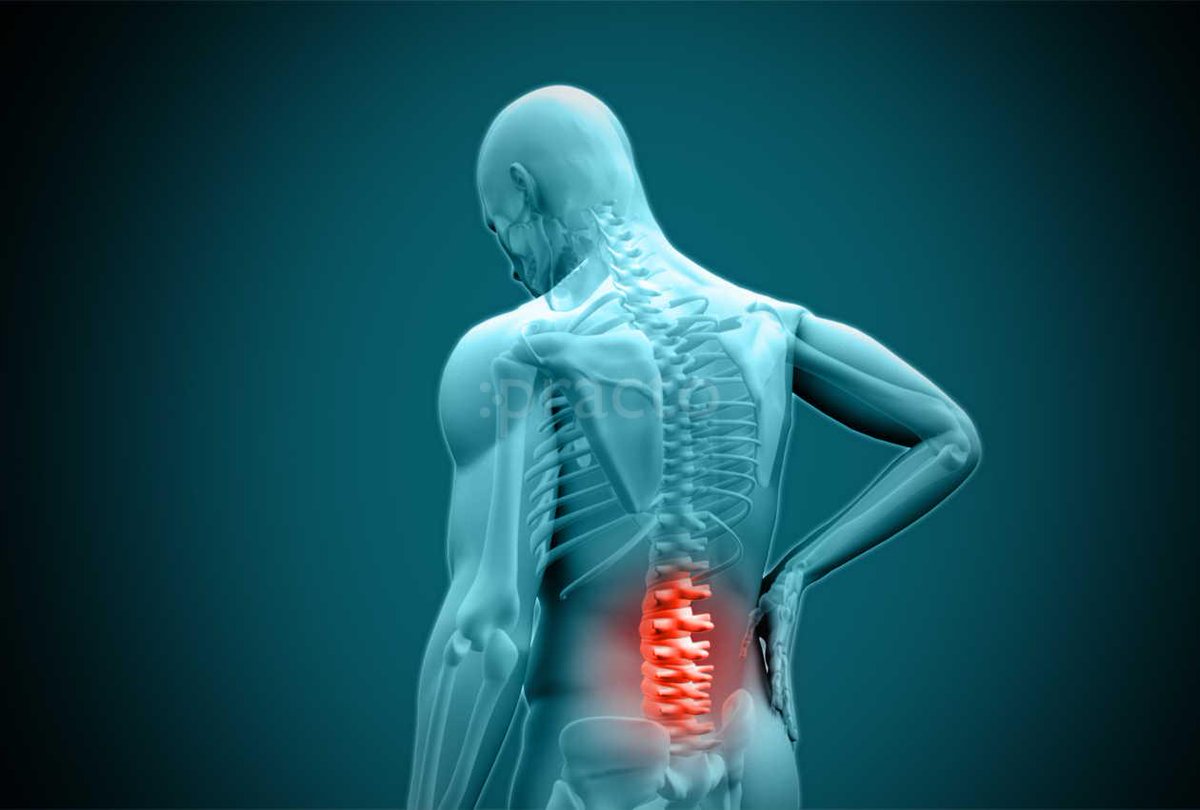 epracticetech's tweet photo. Physiotherapy Practice
https://t.co/keb4aBkAuX https://t.co/TvYc1bXFyw