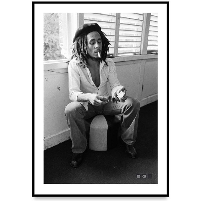 Analogue Gallery tweet media