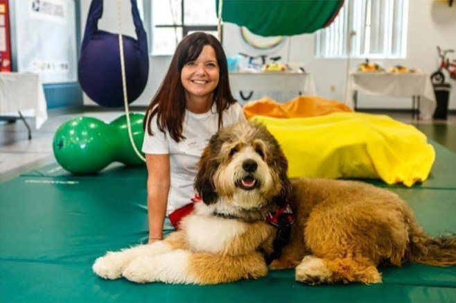 WheelLifeOnline's tweet photo. Meet Stanley, the therapy dog that spends his days at the Boston Ability Center working with children who have disabilities.
 - https://t.co/xA8z85Wr2l
#servicedog #disability #therapydog https://t.co/Z5MRBdlsZa