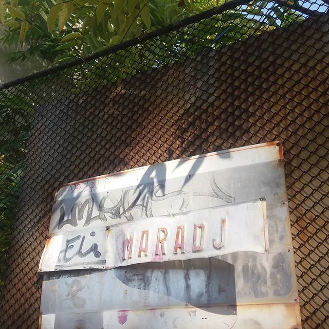 AlbatrossMirror's tweet photo. Maradj 2. #maradjszeged https://t.co/icoiC8MUG6 https://t.co/OVvOShyuAM