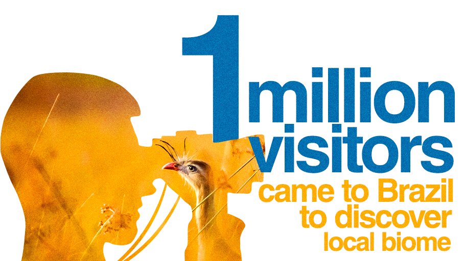 The image shows a yellow plants scenery with a bird in highlight inside the outlines of a man holding binoculars. The animal is in the binoculars part. On the right side, there’s the following text “1 billion visitors came to Brazil to discover local biome”