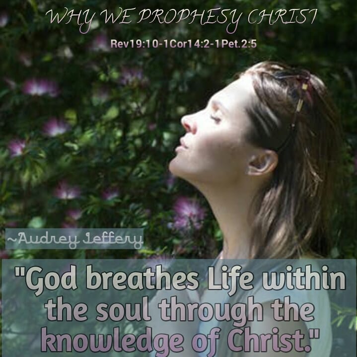 30weylst's tweet photo. "He  will not withhold His knowledge from us, because it preserves our  faith and cleanses our heart." Apostle Eric vonAnderseck

 https://t.co/wxqwKYRysw      https://t.co/irdYMLgU0W

#quoteoftheday #pastor #propheticworship #messianicjew #turnupyourpraisemiistry #hope https://t.co/7WBDUGqyMh